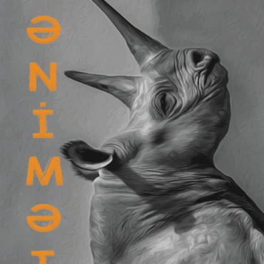 Qaea Şuters - “Qənimət”